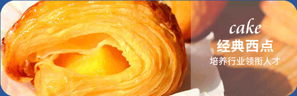 ��ʦ��ѵѧУ