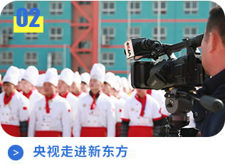 ��ʦ��ѵѧУ