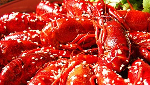 �в�����רҵ