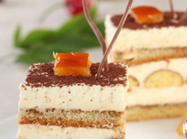 ������ʱ����������רҵ