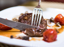 ���������ʹ��רҵ