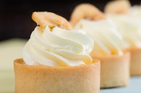 ֣���¶������ѧУ